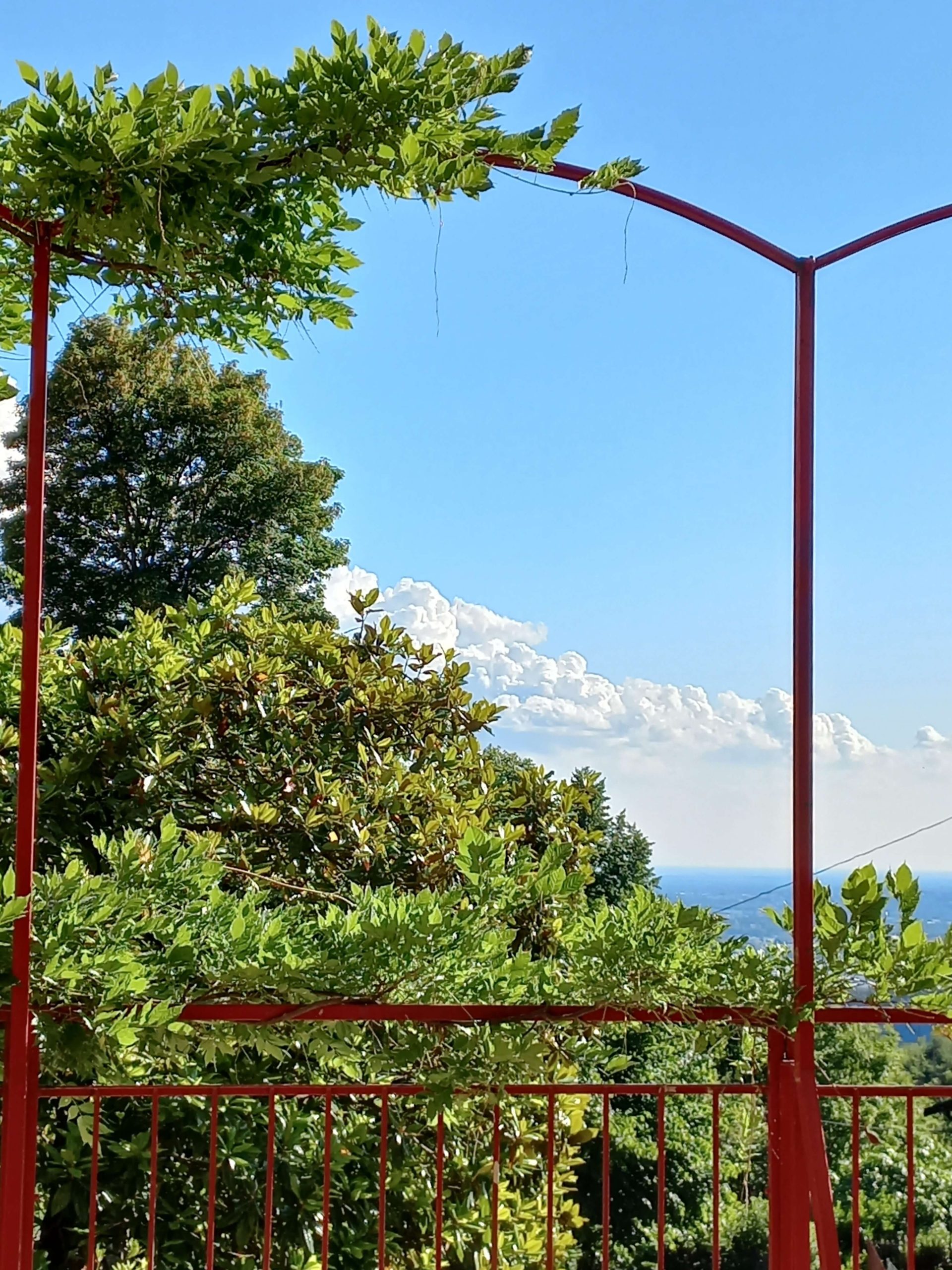 PASTICCERIA STAZIONE CENTRALE MILANO - PASTICCERIA STORICA ROVIDA